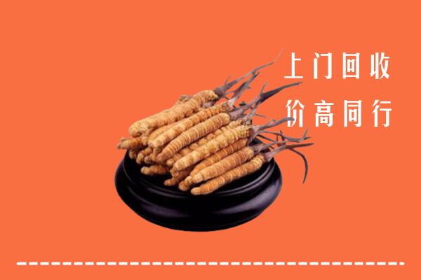 高价求购：贵池区回收散虫草